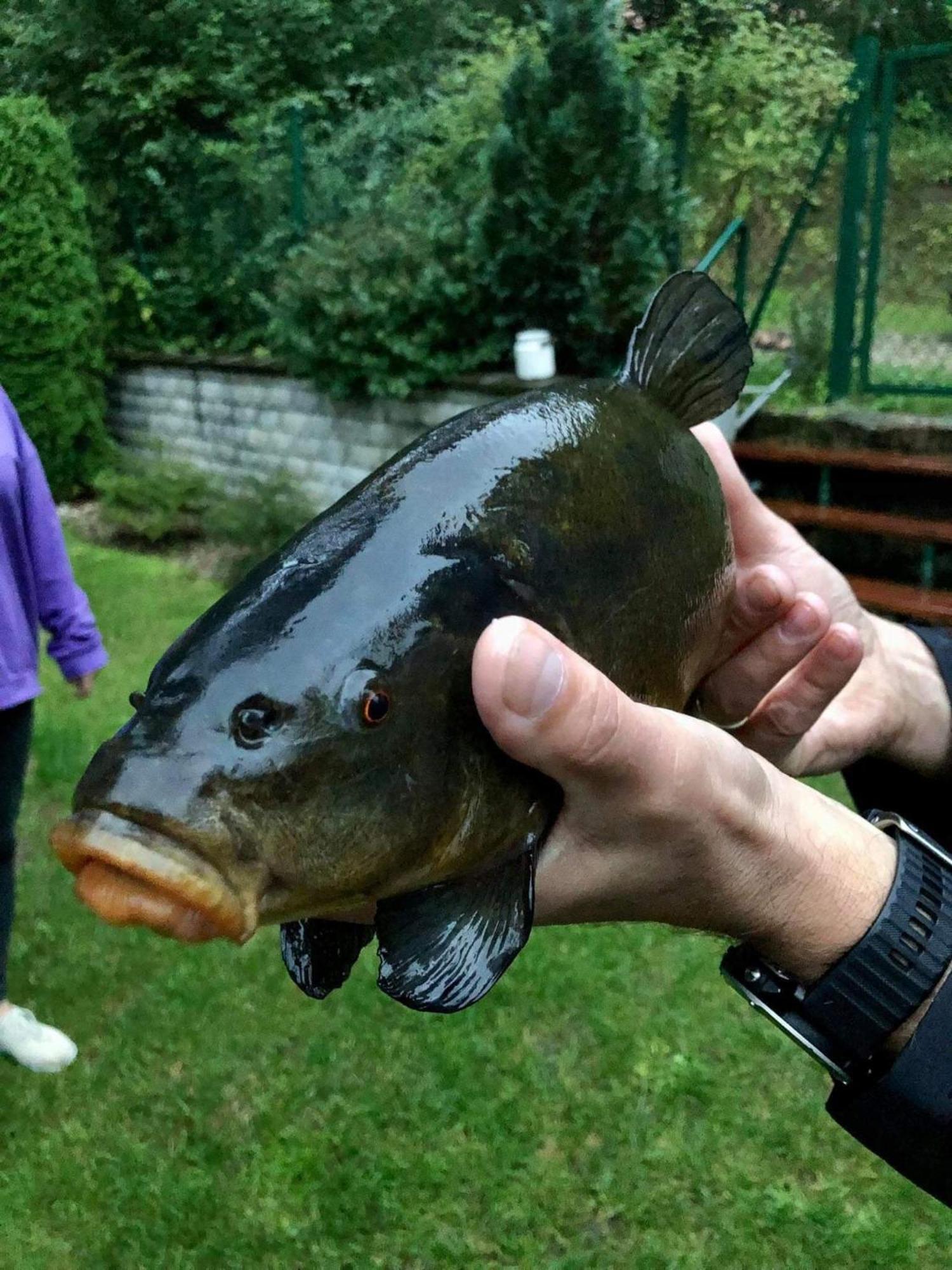 Wilkaski Zakatek Giżycko Zewnętrze zdjęcie